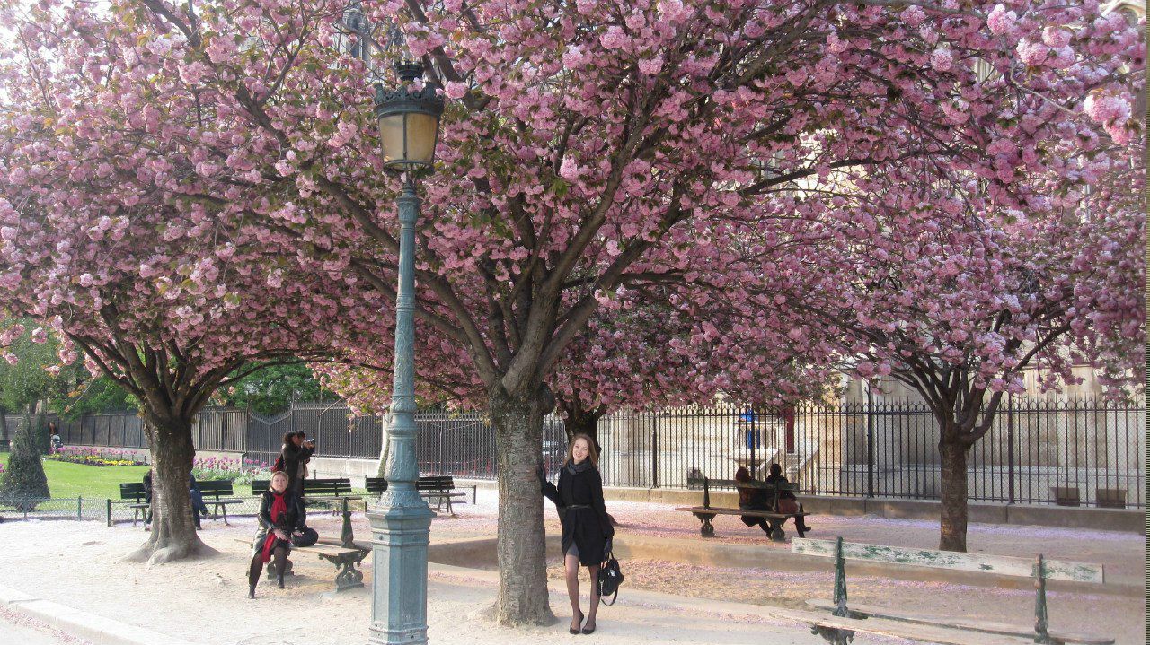 Галина Ривкина | Москва