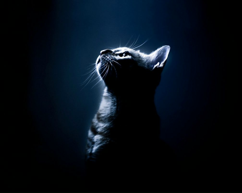 Вера Довгаль | Санкт-Петербург