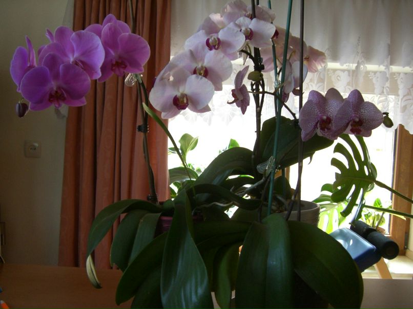 Татьяна Шмаглий | Екатеринбург