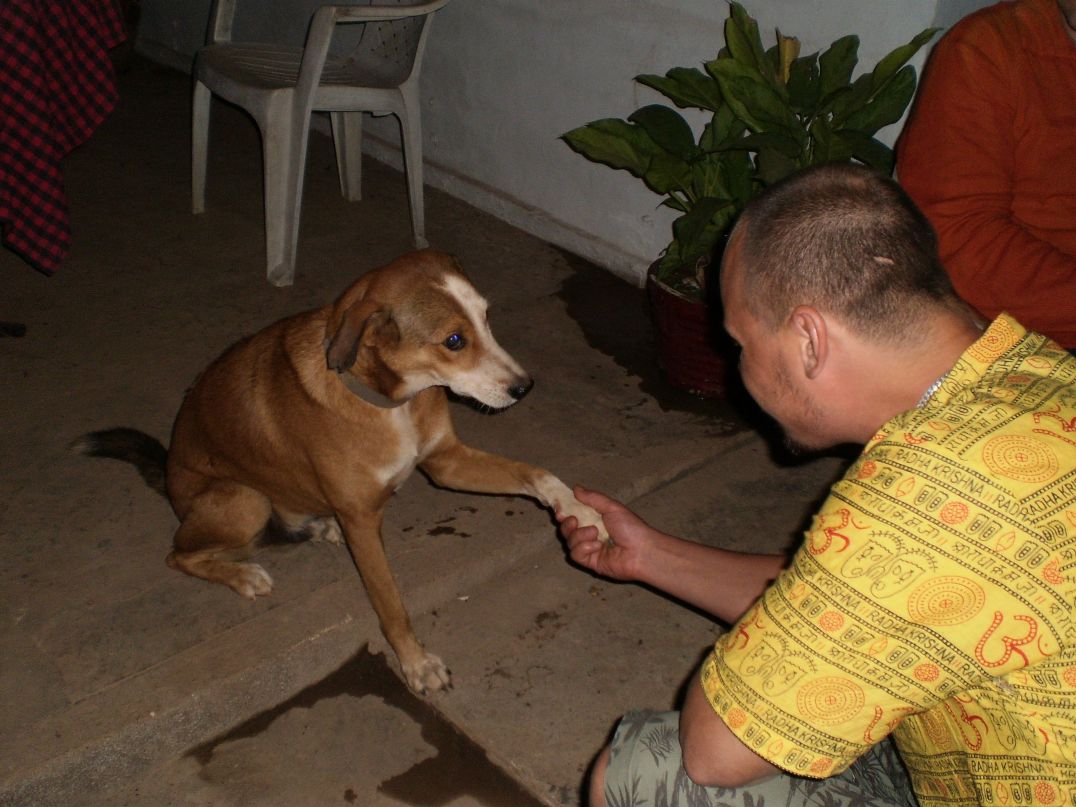 Ромарик Кочубаров | Жуковский