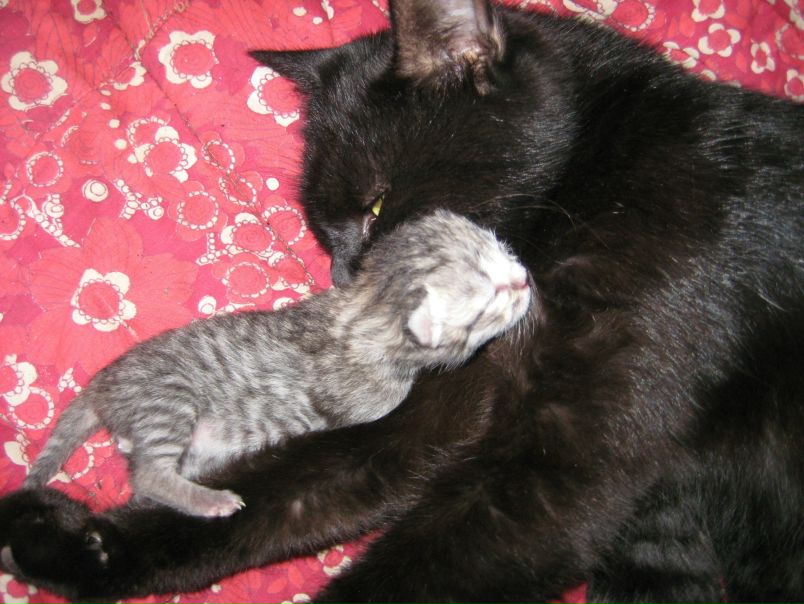 №57, Анастасия Резун, Днепр (Днепропетровск) №57, Анастасия Резун, Днепр (Днепропетровск)