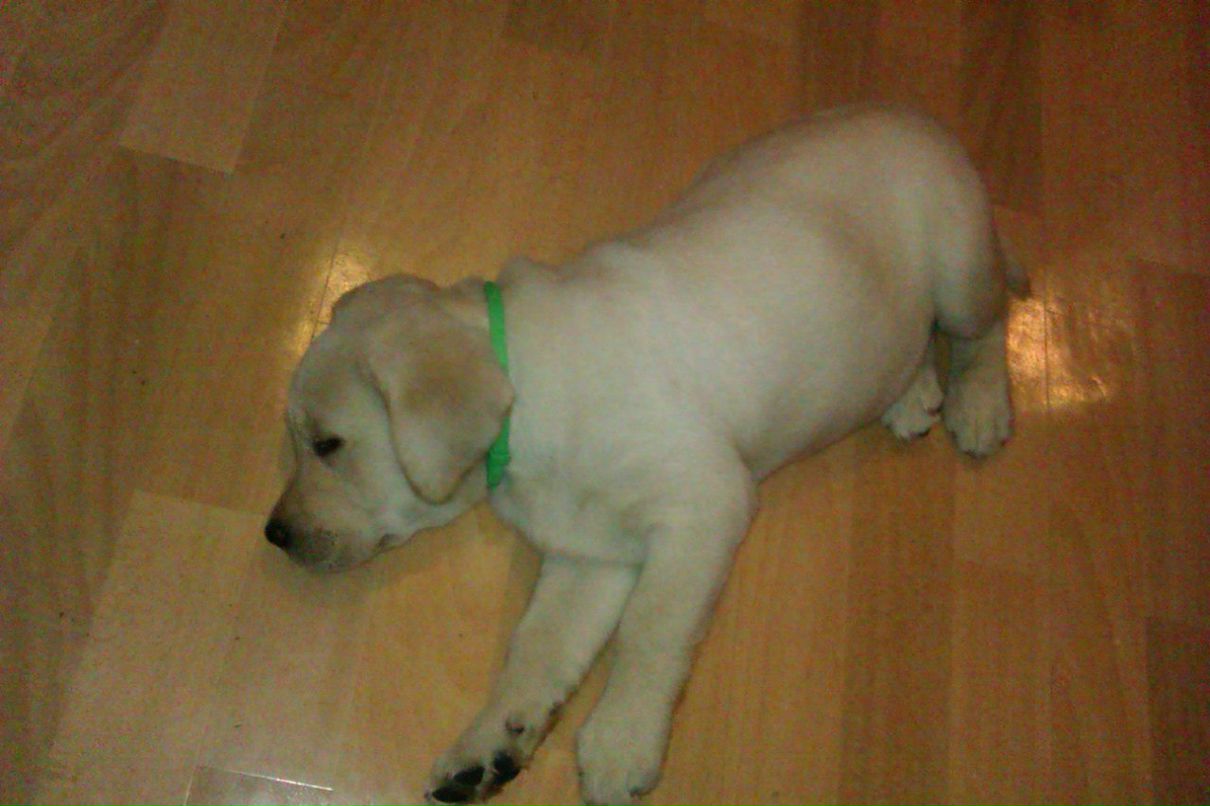 Кирилл Николаев ▼ | Москва