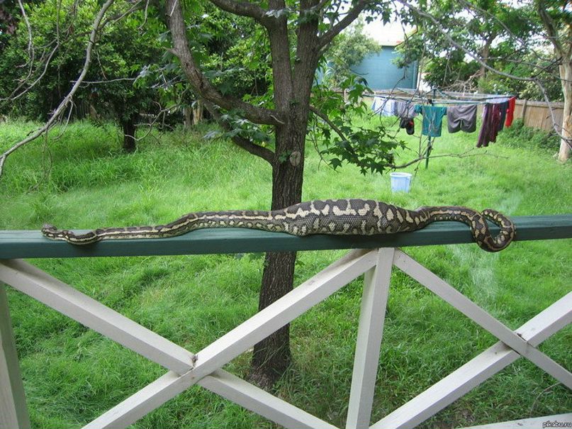 Александр Антонов | Волжский