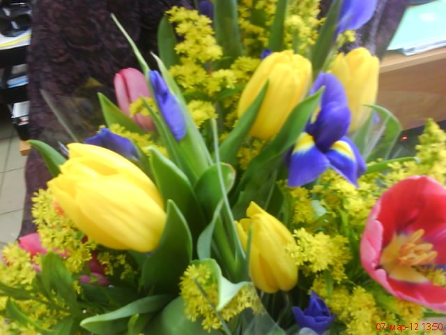 Светлана Железовская | Красноярск