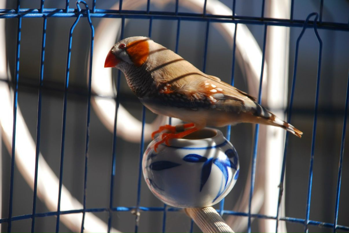 Александра Вылегжанина | Москва