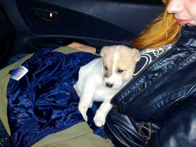 Виктория Мазниченко <Nia> | Харьков