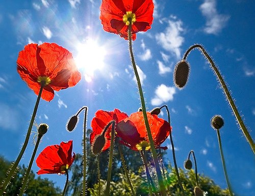 Оксана Муратова | Москва