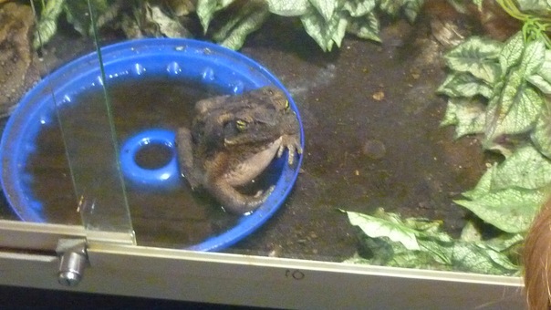 №121, Наталья Белякова, 22.08, Выборг №121, Наталья Белякова, 22.08, Выборг