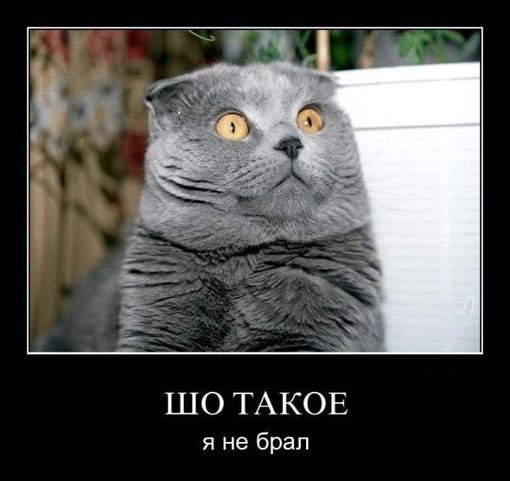 Данил Долгополов | Харьков