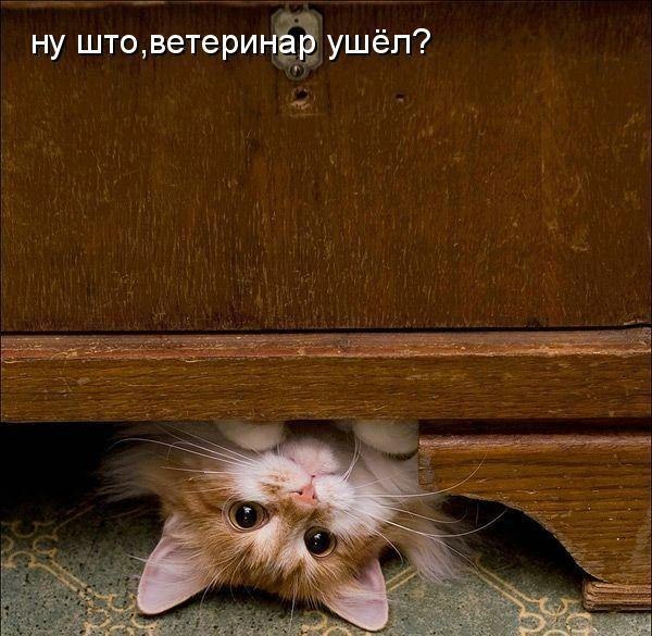 Анюта Гордеева | Москва