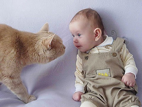 Руслан Тищенко | Бирловка