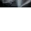 №152, Caroline-Seksi Vampir--Forbes, 2.3.1920, Chicago №152, Caroline-Seksi Vampir--Forbes, 2.3.1920, Chicago