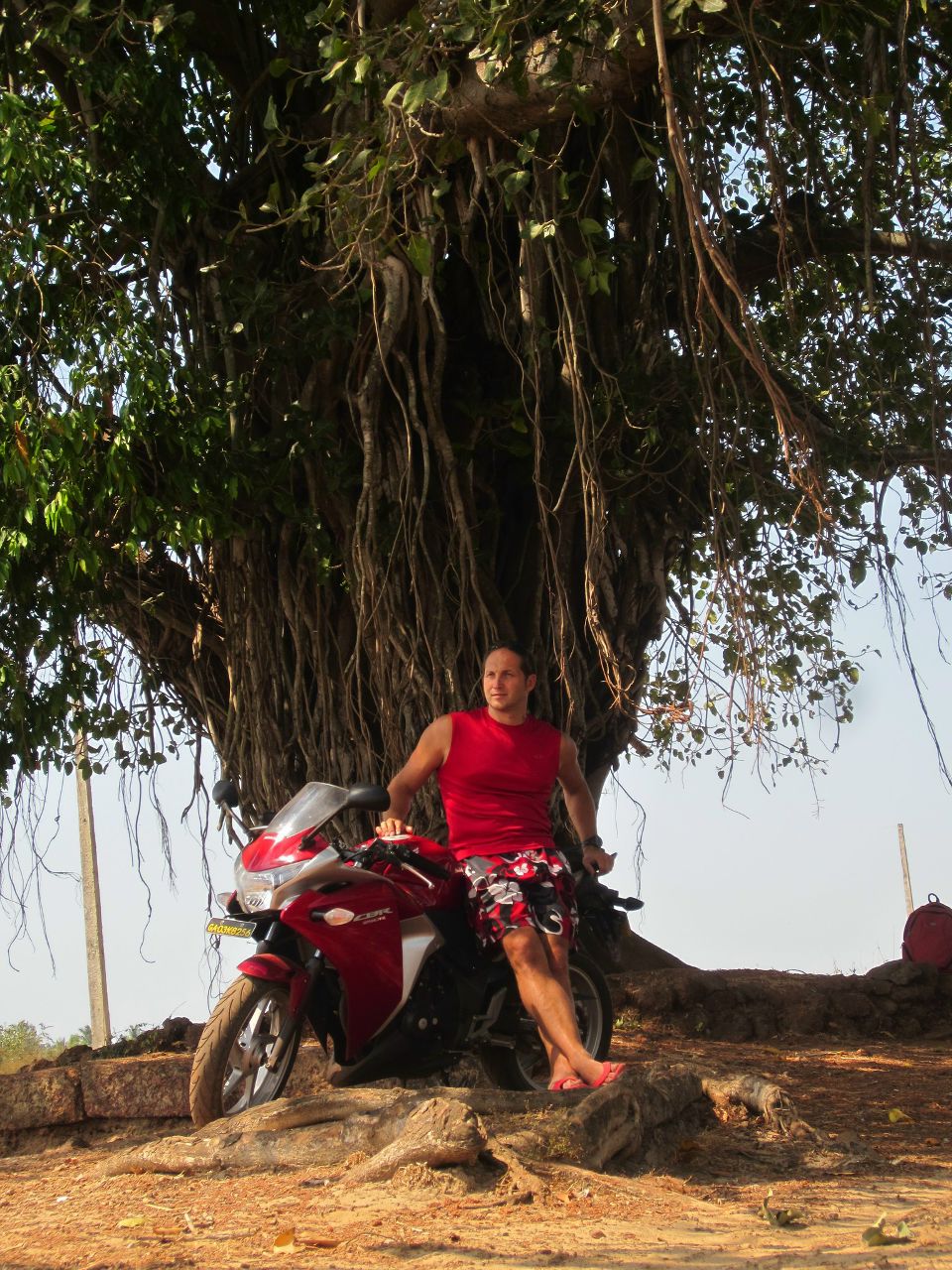 Василий Илларионов | Выборг