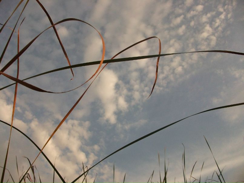 Сергей Потапов | Кузнецк