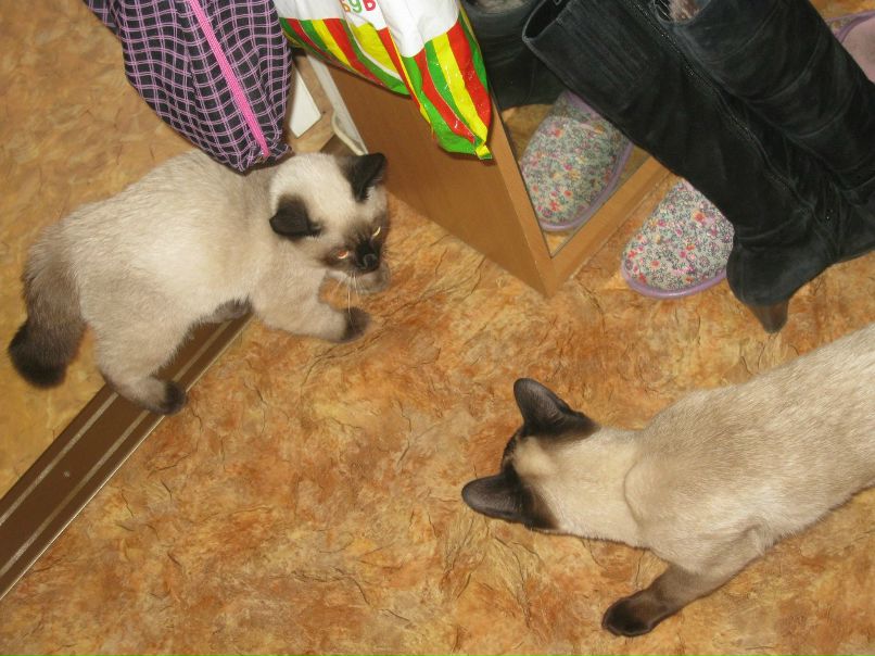 Марина Маркова | Санкт-Петербург