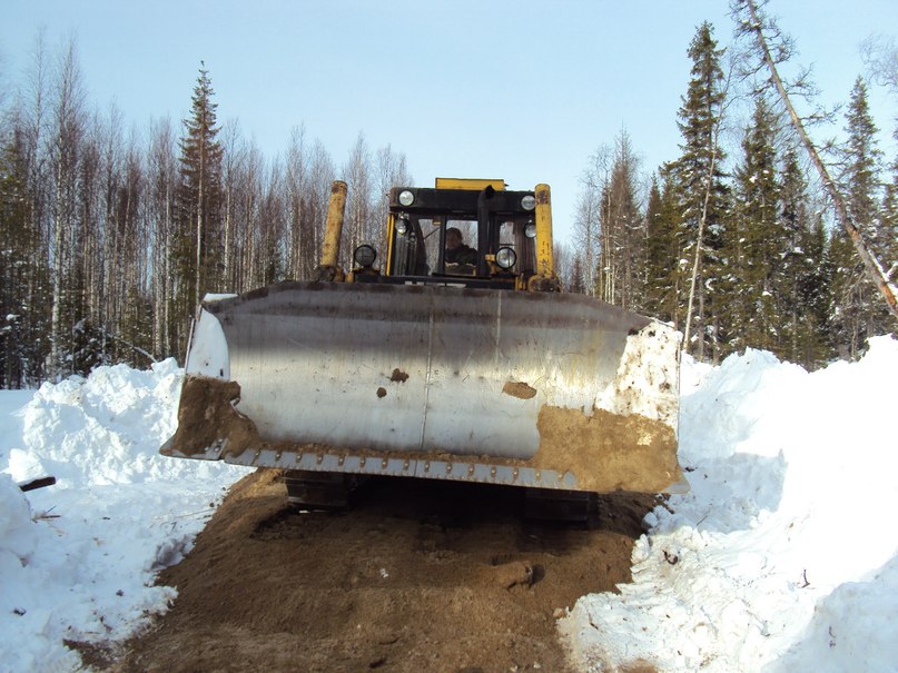 Сергей Курицын | Сегежа
