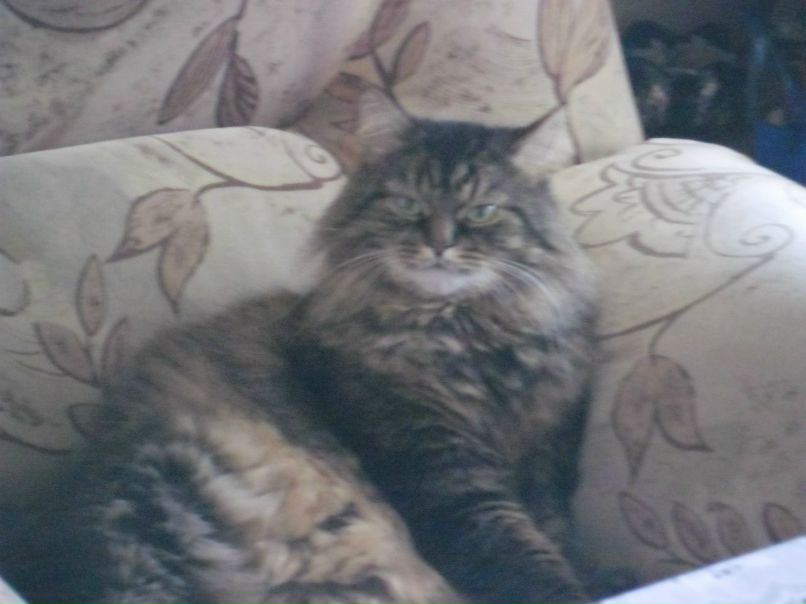 Ирина Даниловская | Новосибирск