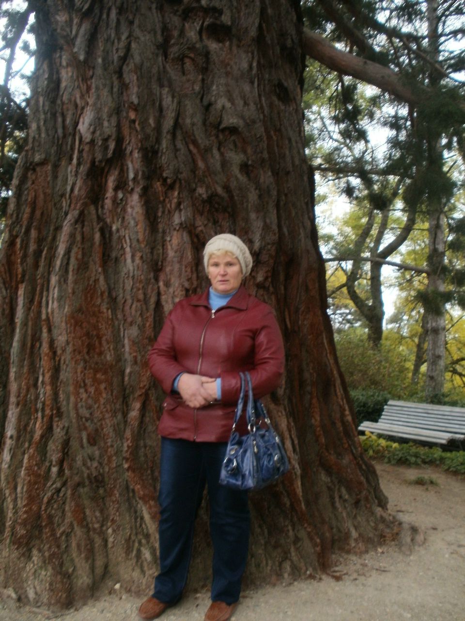 Татьяна Тищенко | Виноградное