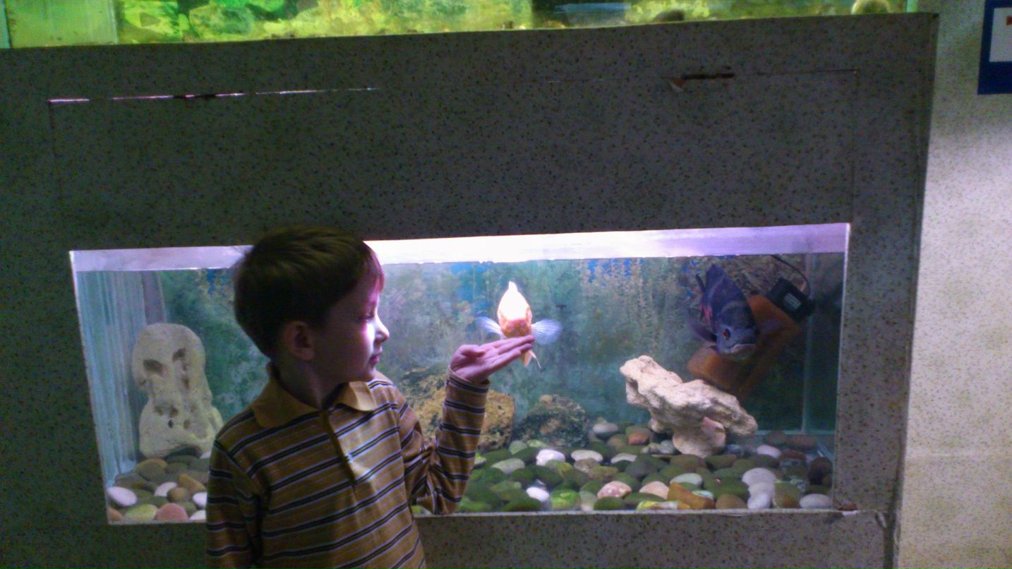 Рая Кайгарова | Москва