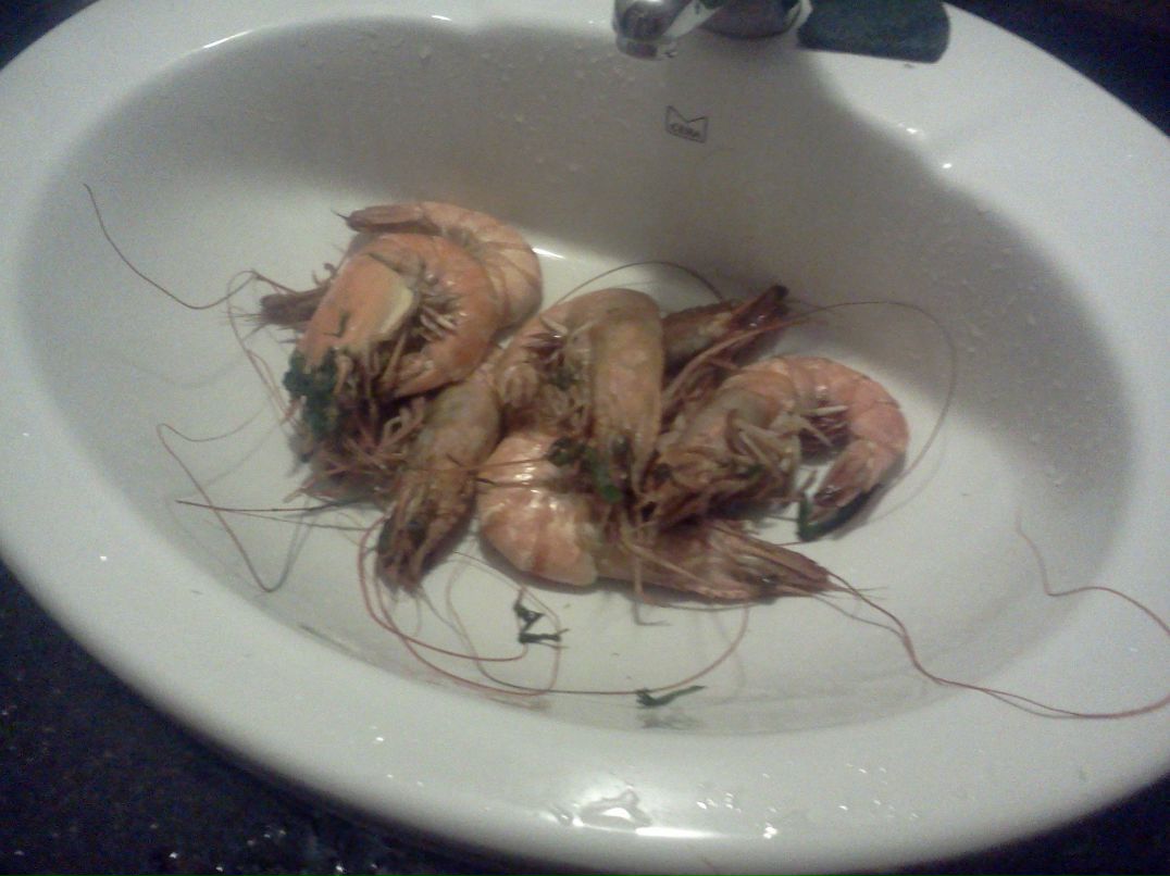 Иван Климарёв | Екатеринбург