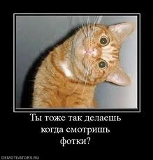 Эдик Курбанов AۣSۜlFreshTime | Казань