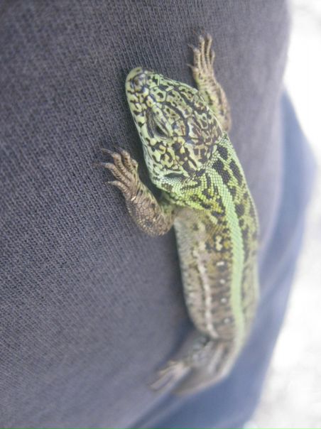 №99, Александр Назаренко, 37 лет, Киев №99, Александр Назаренко, 37 лет, Киев