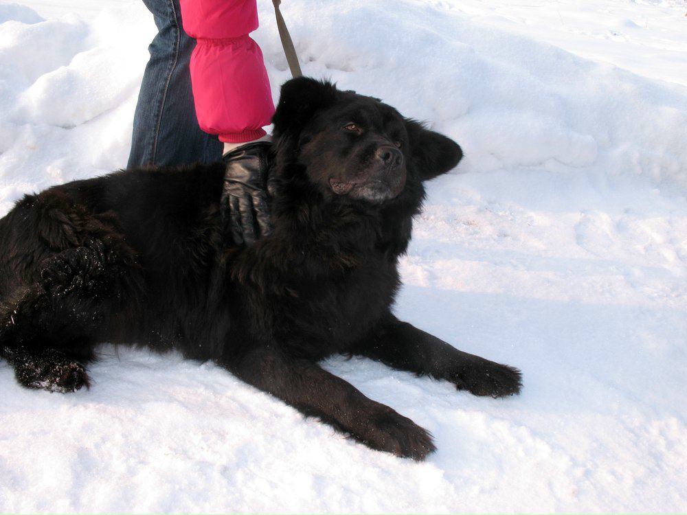 Инна Любовина | Петрозаводск