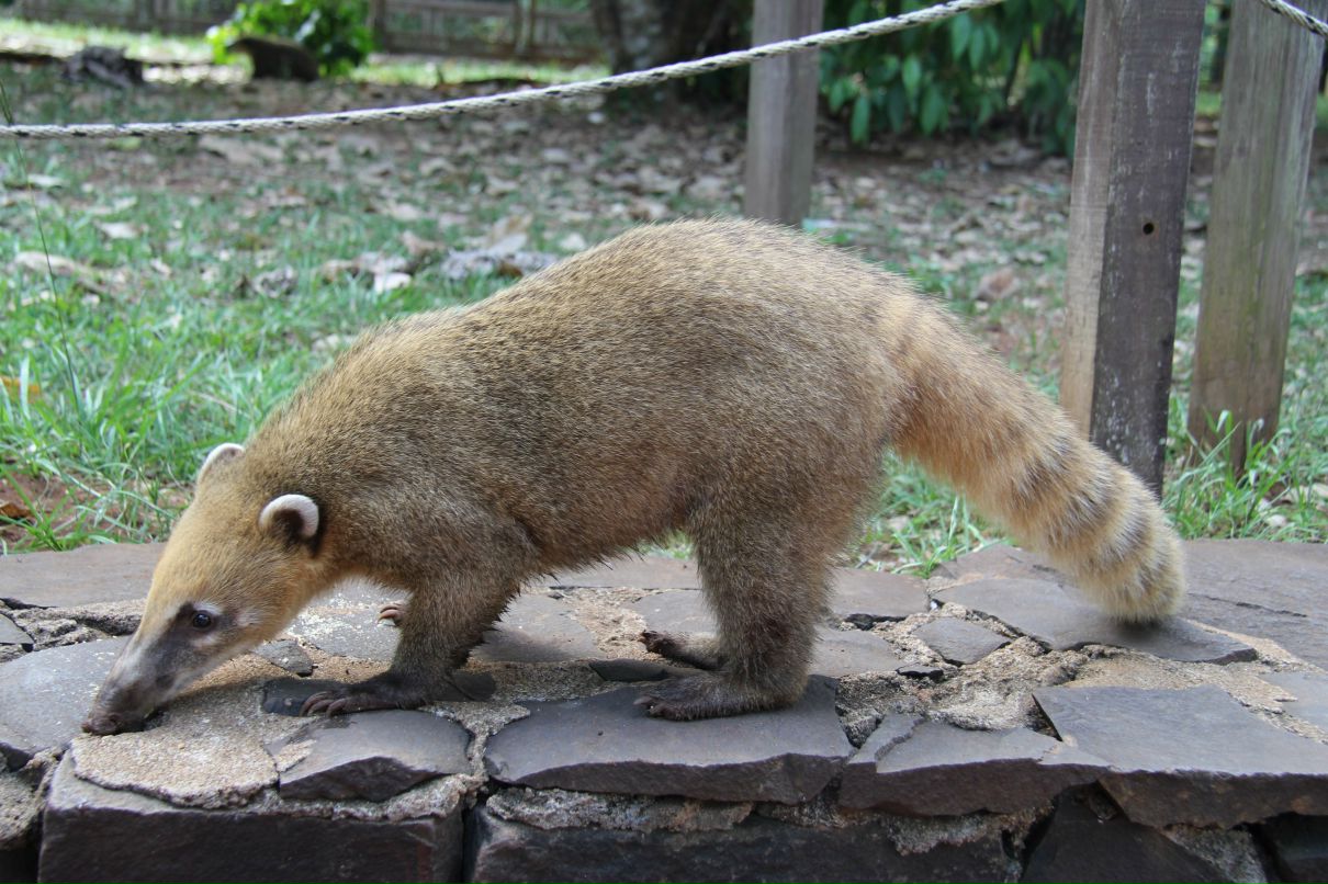 Андрей Краснов | Москва