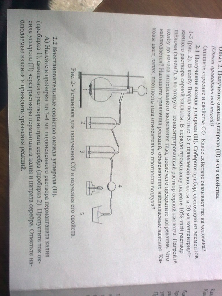Мария Мишина | Ростов-на-Дону
