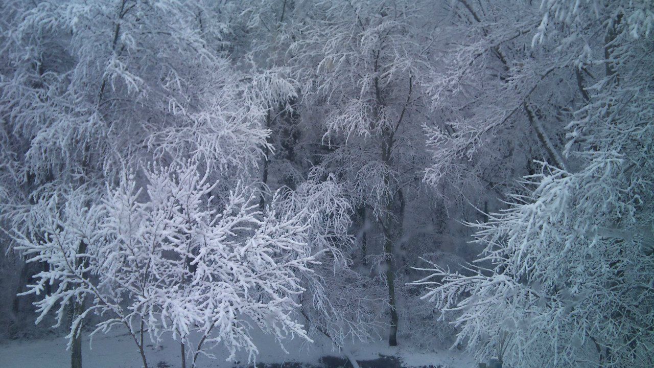 Рома Бабенко | Сочи