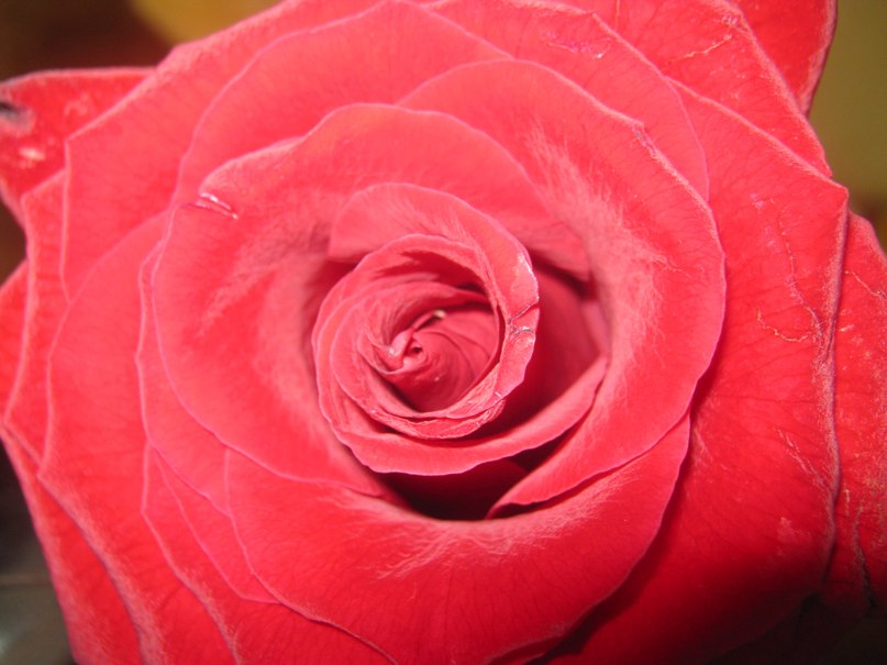 Яна Левченко | Очаков