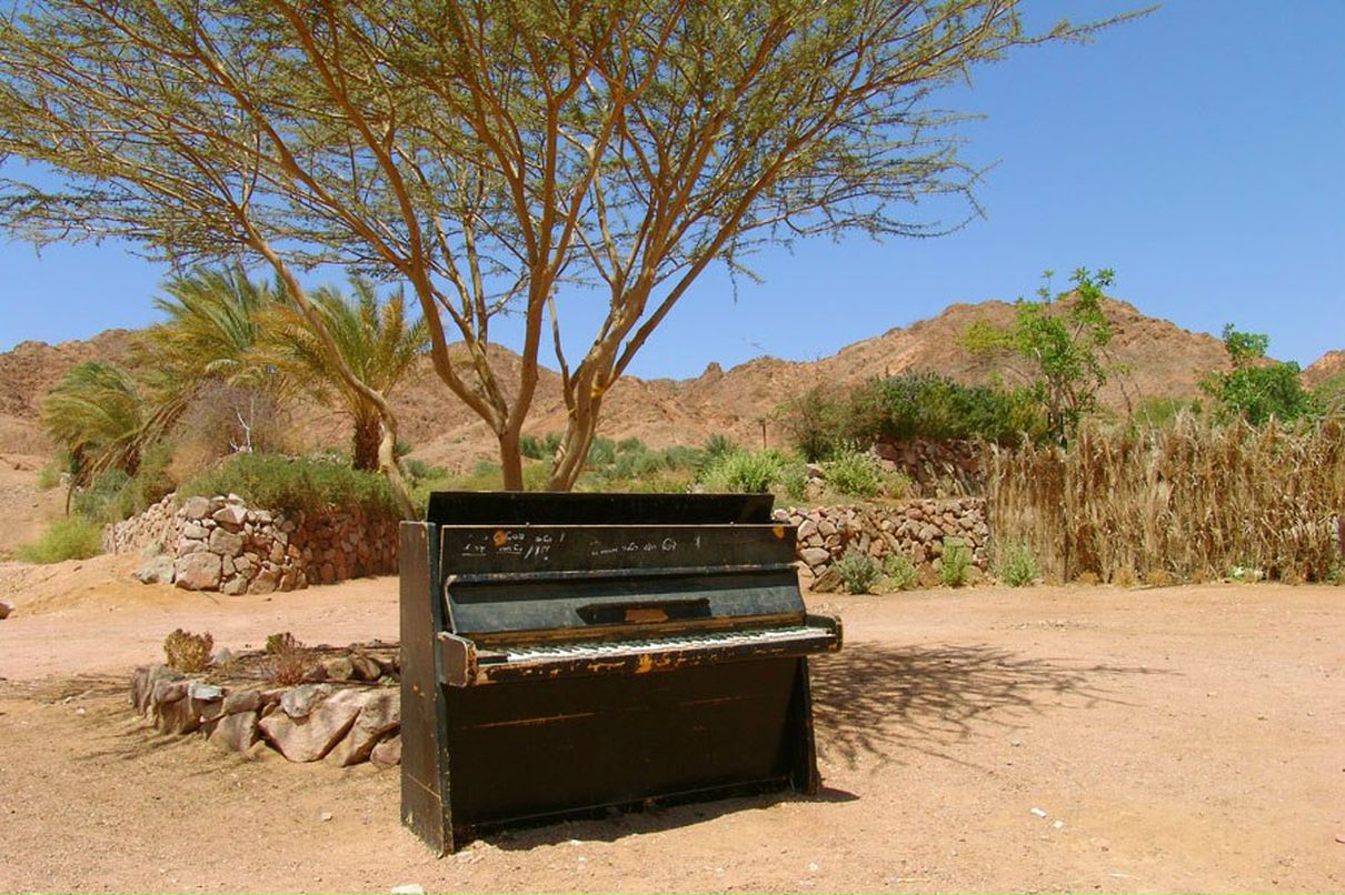 Anastasia Lezhnina | Санкт-Петербург