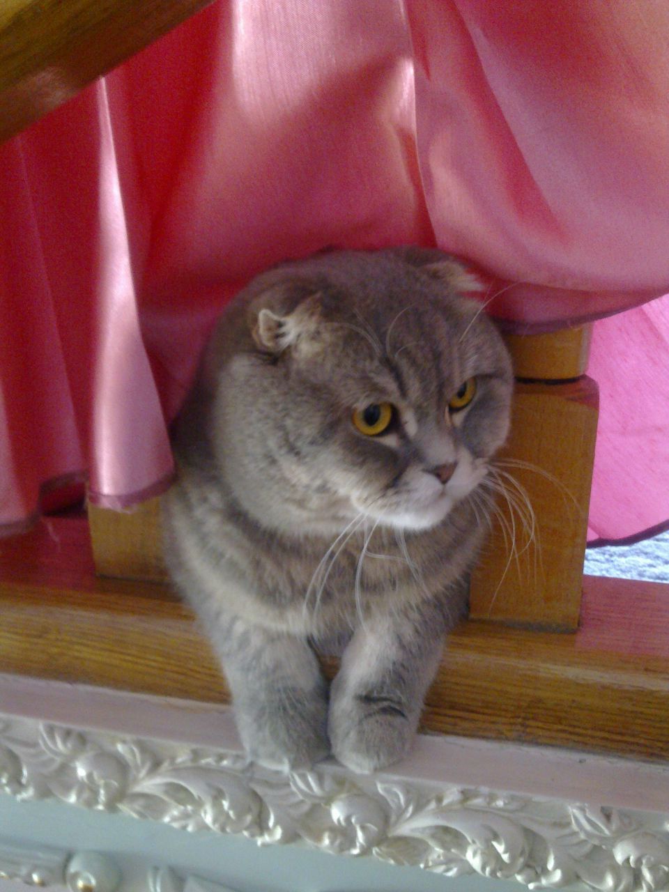 Артур Керкез | Луганск