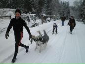 №11 Светлана Ларионова 04.04: профиль, фото, статус - ВКонтакте