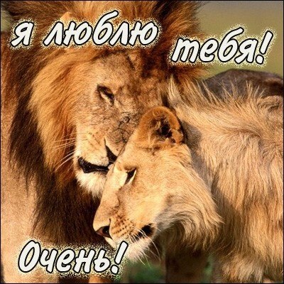 Юрий Миронов djRioN | Санкт-Петербург