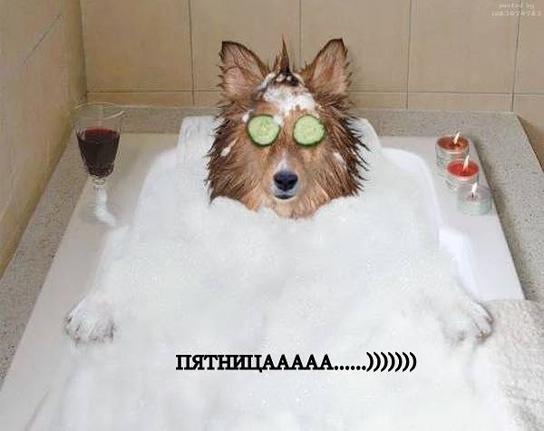 Татьяна Кучерук | Хмельницкий