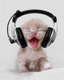 Тёма Калиничев | Санкт-Петербург