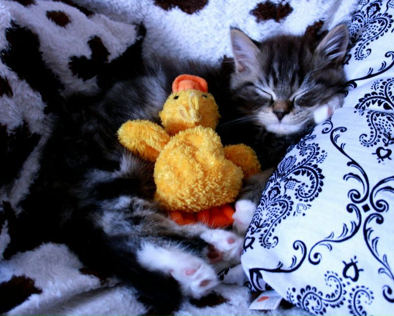 Polina Presnyakova | Eberbach