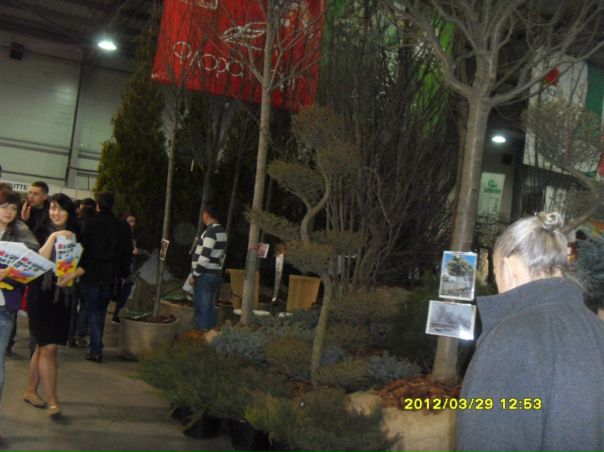 №61, Сергей Погосян serg, 34 года, Киев №61, Сергей Погосян serg, 34 года, Киев