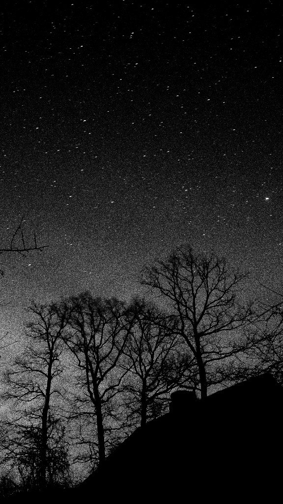 Димас Cousin | Киев