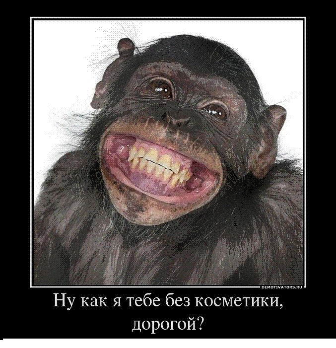 Тарас Юрыйович | Винница