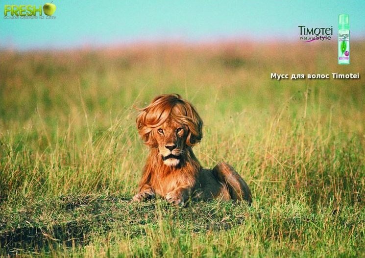 Юля Юрах Kitty | Николаев