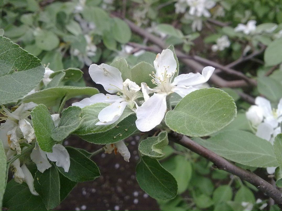 Эльдар Уразгильдеев Sonder♪ | Туймазы