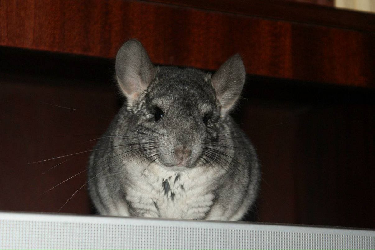 Ma Ri | Норильск