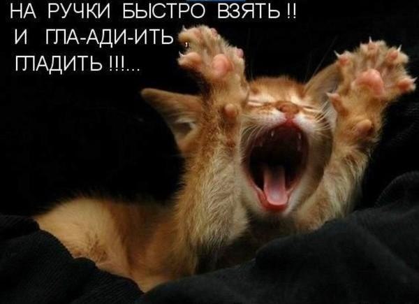 Руслана Кумеда ❤ | Сумы