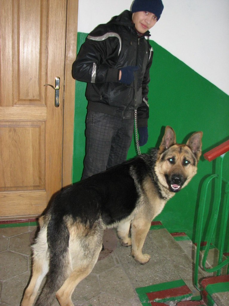 Елена Красновид | Чернигов