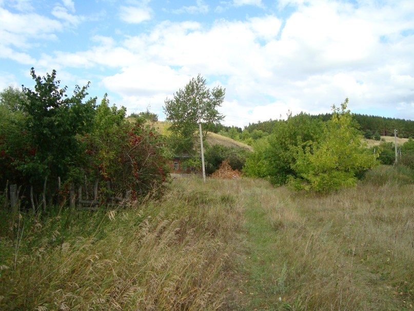 Дима Терентьев | Санкт-Петербург