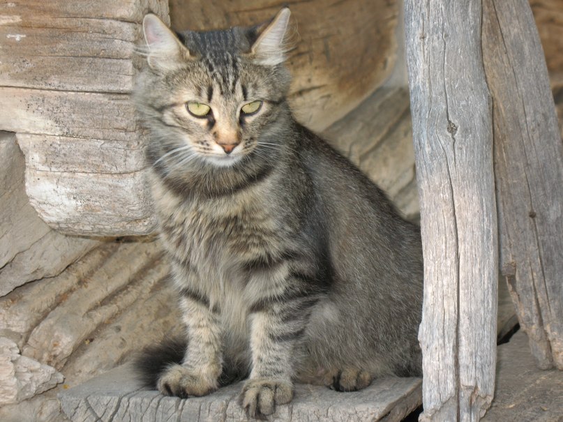 Sergey Stepanenko | Киев