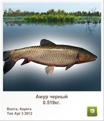 Александр Токарев | Волгоград