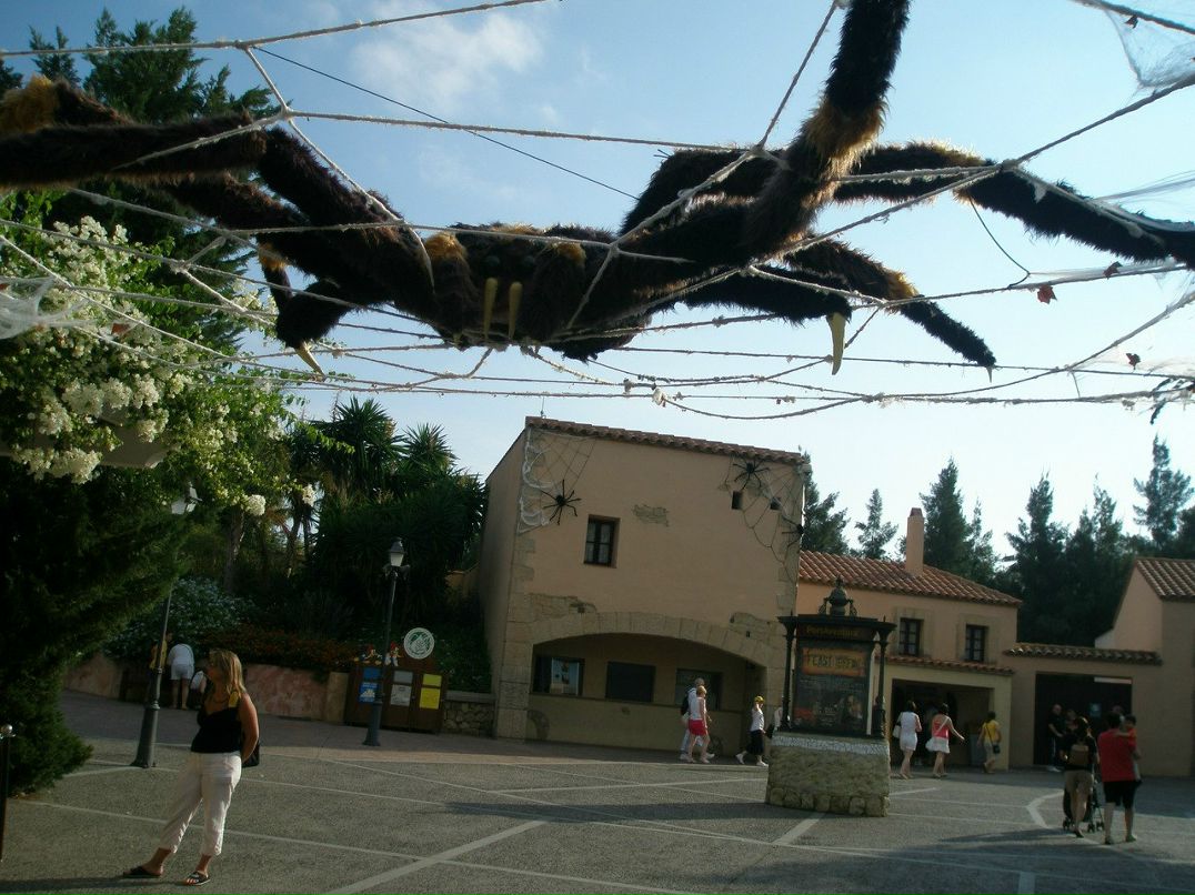 Марина Стёпышева Marian | Волгоград